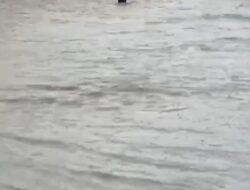 Jalur Trans-Sulawesi di Barru Putus Total Akibat Banjir