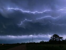 Hujan Lebat Masih Selimuti Makassar-Gowa hingga Malam ini, Awas Pohon Tumbang
