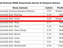 Penerapan SPBE Gowa Raih Predikat Sangat Baik dari Kemenpan-RB