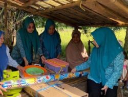 Ketua PKK Gowa Bantu Keluarga Miskin Ekstrem di Dua Desa, Dari Alat Masak hingga Modal Usaha