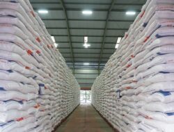 Stok Beras Tembus 3,8 Juta Ton, Indonesia Selangkah Lagi Menuju Swasembada