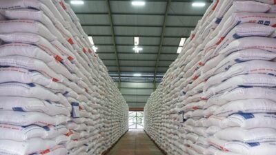Stok Beras Tembus 3,8 Juta Ton, Indonesia Selangkah Lagi Menuju Swasembada