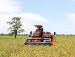 Beras Indonesia Bakal Melimpah, Produksi Tertinggi di ASEAN