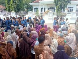 PPPK Enrekang Demo di Rujab Bupati, Tuntut SK Segera Diperpanjang