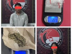 3 Pemasok Narkoba di Toraja Utara Ditangkap, Polisi Sita Sabu dan Ganja