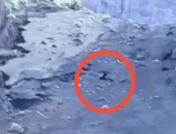 Evakuasi Jenazah WN Brasil yang Jatuh di Jurang Rinjani Disoroti, Basarnas Buka Suara