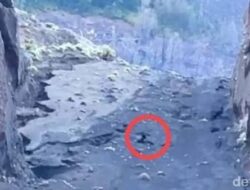 Pendaki Brasil yang Jatuh di Jurang Gunung Rinjani Ditemukan Tewas