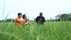 RKAB 2026 Disetujui, PT Vale Pastikan Kelanjutan Operasional dan Investasi