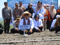 Majene Dicanangkan Jadi “Kabupaten Bawang” di Sulbar, Mentan Amran: Kualitasnya Sangat Baik