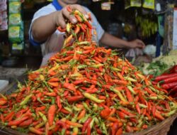 Bapanas: Harga Cabai Rawit Rp40.657/Kg, Bawang Merah Turun Jadi Rp45.992/Kg
