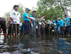 PT Vale Tanam 2.000 Mangrove dan Restorasi Terumbu Karang untuk Pulihkan Ekosistem Pesisir Malili