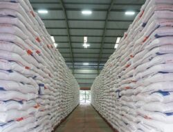 Beras Premium Kembali Muncul di Ritel, Harga Turun