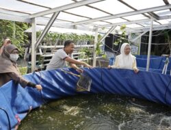 Melinda Aksa Kunjungi Econatural Society, Dukung Edukasi Maggot untuk Solusi Sampah dan Ketahanan Pangan