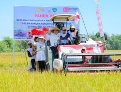Titiek Soeharto Hadiri Panen Raya di Maros, Tegaskan sebagai Sentra Produksi Beras Nasional