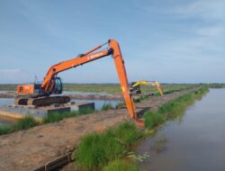 Kementan Genjot Rehabilitasi Irigasi, Wujudkan Merdeka Air bagi Petani