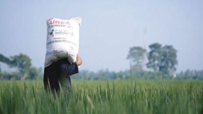 Pertama Kali dalam Sejarah, Harga Pupuk Subsidi Turun 20 Persen