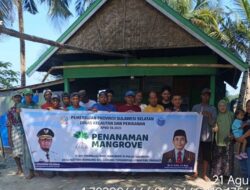 Penanaman Mangrove di Empat Kabupaten, Dukung Ekonomi Biru dan Rehabilitasi Pesisir