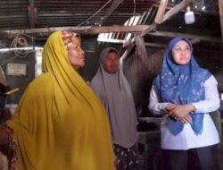 Bupati Gowa Kunjungi Warga Miskin Ekstrem di Pallangga dan Bantu Bedah Rumah