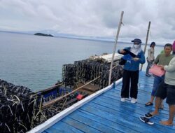 Lestarikan Ekosistem Laut, 500 Rumah Ikan Dipasang di Perairan Pulau Padaelo Sinjai
