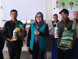 Gowa Perkuat Agribisnis Dataran Tinggi, Kembangkan Komoditas Kentang dan Sapi Potong