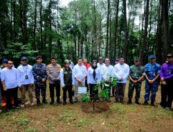 Forkopimda Gowa Hadiri Penanaman Pohon Serentak, Fatmawati Ajak Perkuat Kolaborasi Hijaukan Sulsel
