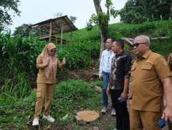Bupati Gowa Kunjungi Biringbulu, Pastikan Peningkatan Pembangunan Infrastruktur Jalan