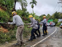 PLN Terus Percepat Pemulihan Jaringan Listrik Pascabencana di Aceh, Sumbar, dan Sumut