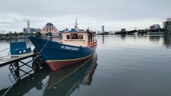 Munafri Realisasikan Janji Kampanye, Pete-pete Laut Layani Pulau Secara Gratis