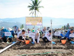 Wagub Kunjungi Enrekang, Tanam Bawang hingga Peluncuran GENTING