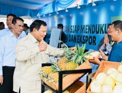 Presiden Prabowo Umumkan Swasembada Pangan, Indonesia Ulang Sejarah Kejayaan