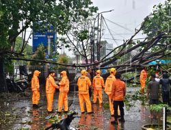 Pohon Tumbang Tutup Badan Jalan di Gatot Subroto Makassar, Akses Warga Sempat Terganggu