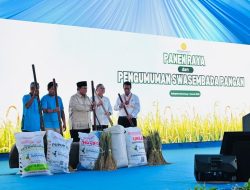 Swasembada Pangan 2025: Tonggak Sejarah Kemandirian Pangan Indonesia