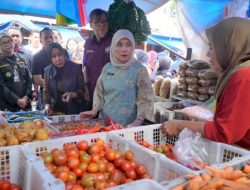 Aliyah Tinjau Pasar Terong dan Gelael, Pantau Stok-Harga Pangan Jelang Ramadan