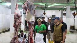 Kementan Gencarkan Sidak, Pastikan Pasokan Aman dan Harga Daging, Ayam, serta Telur Stabil Selama Ramadan