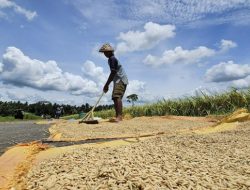 WFP Sebut 45 Juta Orang Terancam Kelaparan, Indonesia Surplus Beras