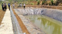 Hadapi Kemarau, Kementan Perkuat Mitigasi Kekeringan di Sektor Perkebunan