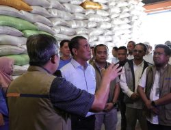 Meningkat Tajam, Stok Beras Bulog di Sulsel Capai 761 Ribu Ton