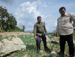 Antisipasi El Nino, Kementan Gencarkan Pengembangan Hortikultura Lahan Kering di Enrekang