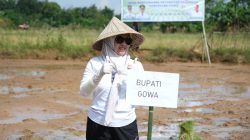 Bupati Gowa Turun ke Sawah, Optimalkan Cetak Sawah Rakyat Demi Swasembada Pangan
