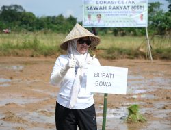 Bupati Gowa Turun ke Sawah, Optimalkan Cetak Sawah Rakyat Demi Swasembada Pangan