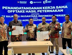 Kementan Kawal Hilirisasi Ayam di Sulsel, Penuhi Kebutuhan MBG