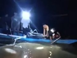 Geger! Warga Tewas Diterkam Buaya Saat Mandi di Sungai Mandar