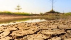 Dimulai Mei, Kemarau 2026 di Sulsel Diprediksi Lebih Kering dan Panjang