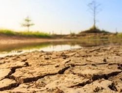 Dimulai Mei, Kemarau 2026 di Sulsel Diprediksi Lebih Kering dan Panjang