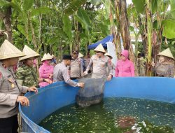 P2B, Langkah Nyata Polres Gowa Sulap Lahan Kosong Jadi Sumber Gizi