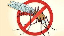 412 Kabupaten/Kota di Indonesia Bebas dari Penularan Malaria, Kemenkes: Jangan Lengah