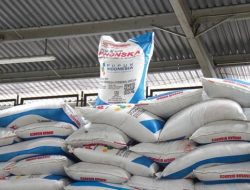 Pupuk Dunia Langka di Tengah Krisis Geopolitik, Prabowo Justru Turunkan Harga 20% untuk Petani