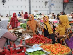 BPS: Harga Ayam-Telur dan Cabai Turun, Tekan Laju Inflasi April