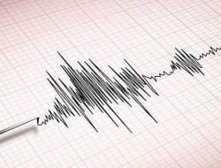 Gempa M 4,7 Guncang Kepulauan Sangihe, BMKG: Berpusat di Laut