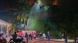 Karhutla di Mamuju, 1 Hektare Terdampak, Penyebab Kebakaran Belum Diketahui